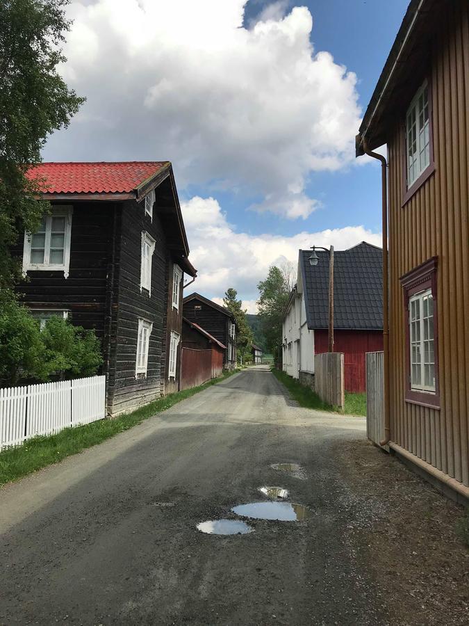 Malmplassen Bed & Breakfast Tolga Экстерьер фото